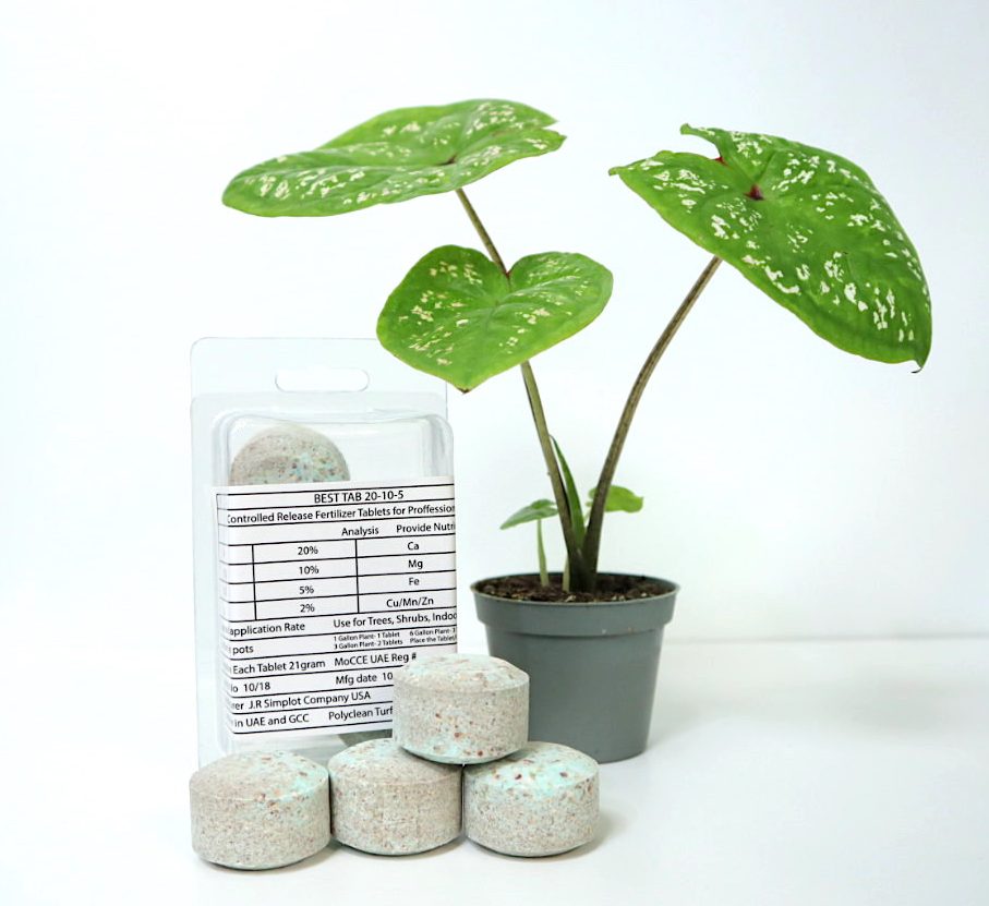 Best Tab "NPK Fertilizer Tablets" with Complete Essential Nutrients For Indoor and Outdoor Plants