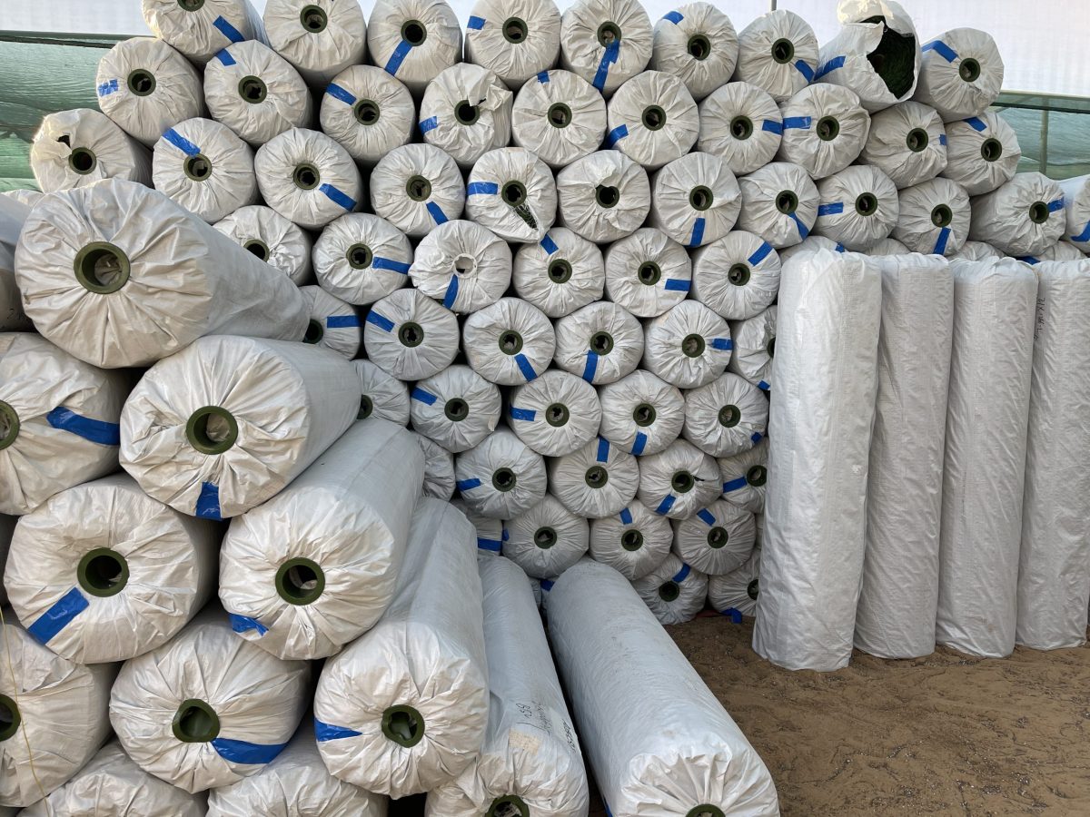 Artificial Carpet Grass