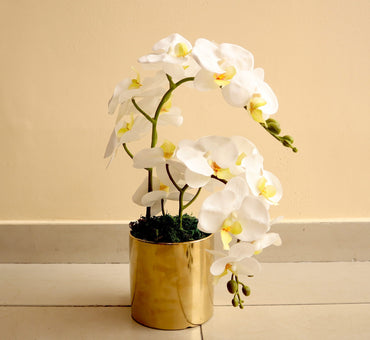 Artificial White Orchids 50cm