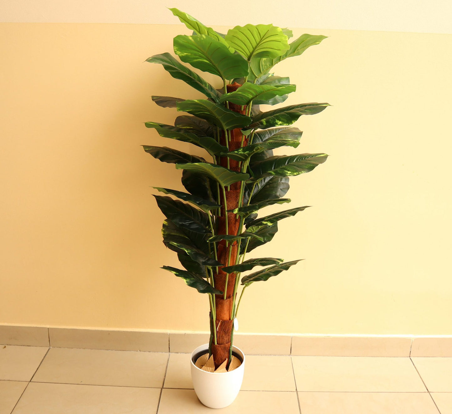 Artificial Money Plant 130cm