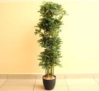 Artificial Schefflera arboricola "Gold Capella" 120cm