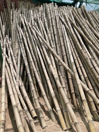 Bamboo pole 3m Length Strong Natural Bamboo, Bamboo Structure Pole