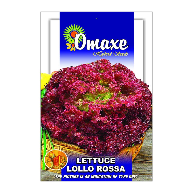 Lettuce "Lollo Rossa" Hybrid Seeds by Omaxe