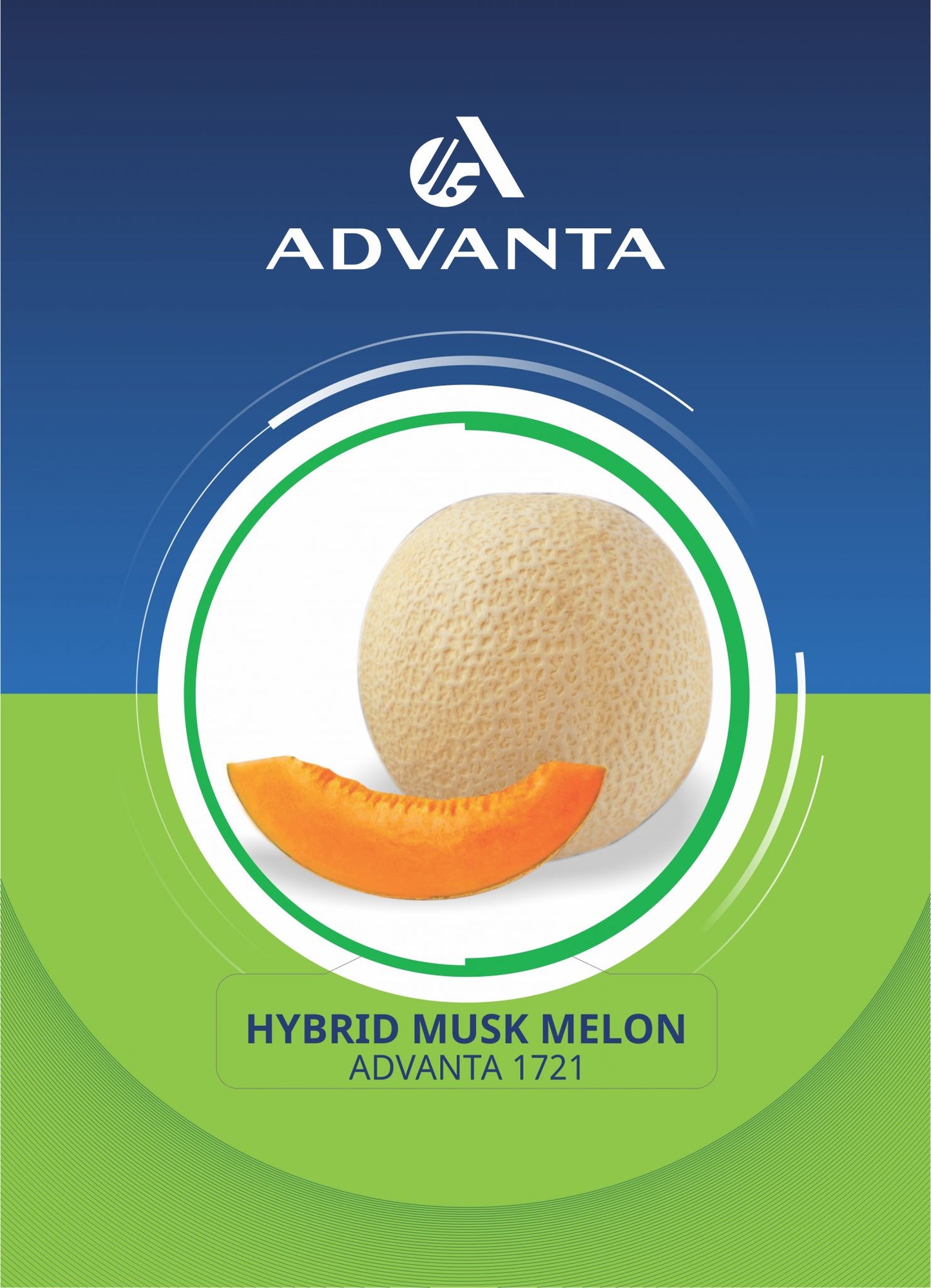 Advanta 1721 Hybrid Musk Melon Seeds 5g