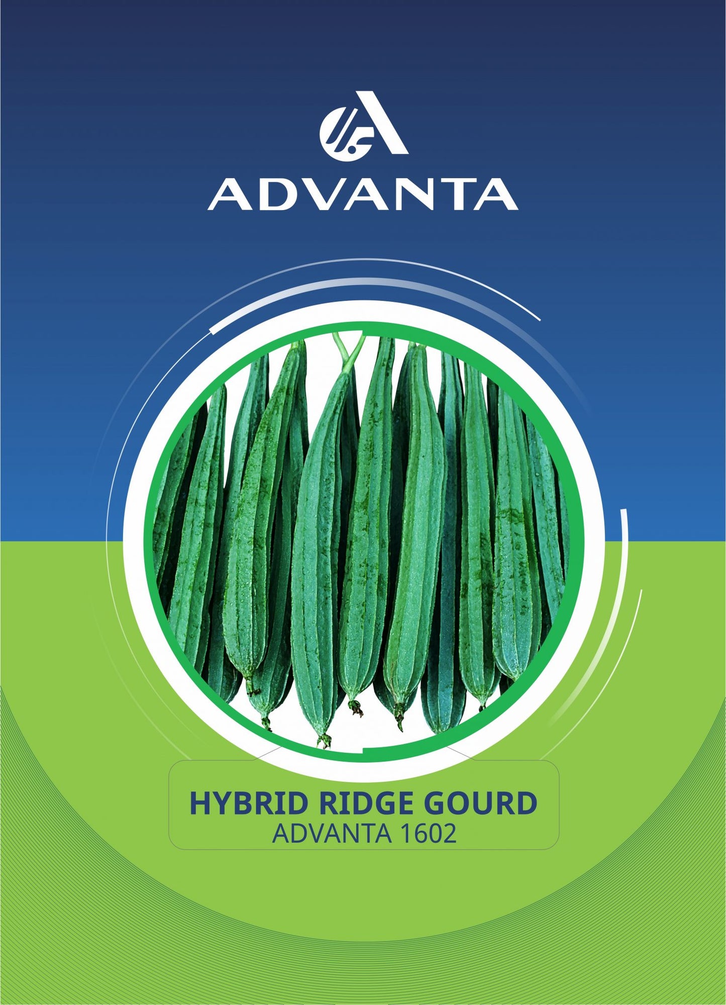 Advanta 1602 Hybrid Ridge Gourd Seeds 5g