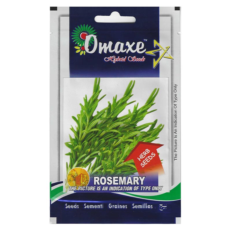 Rosemary "Rosmarinus officinalis" Hybrid Seeds by Omaxe