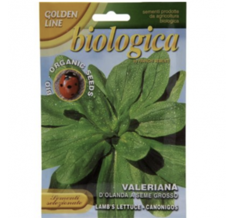 Lettuce "Valeriana D’Olanda A Seme Grosso" Organic Seeds