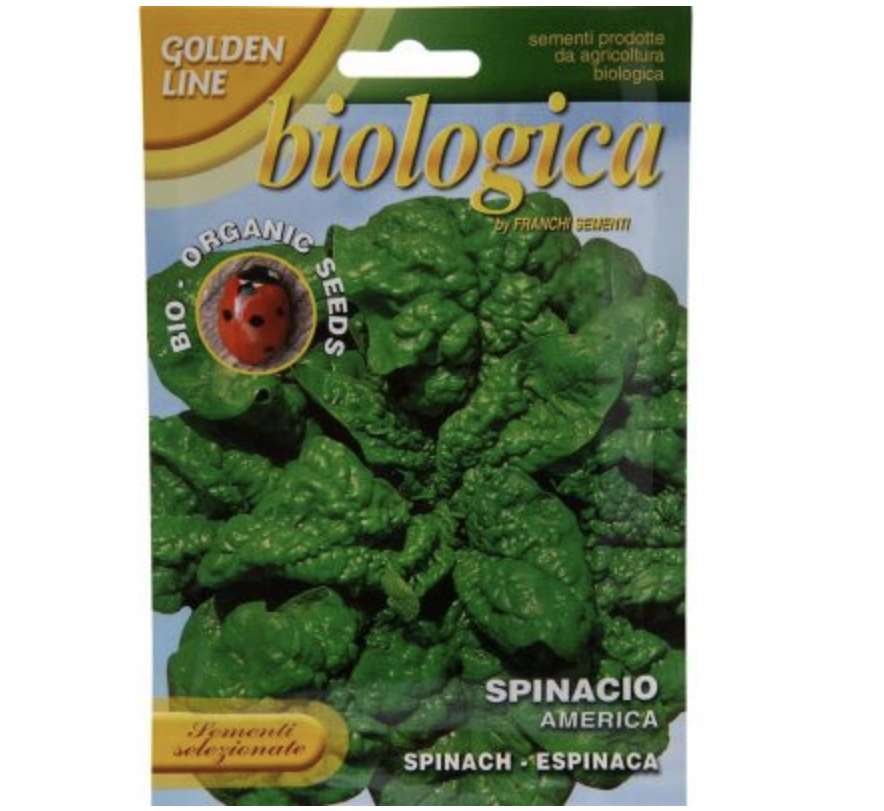 Spinach "Spinacio America" Organic Seeds by Franchi