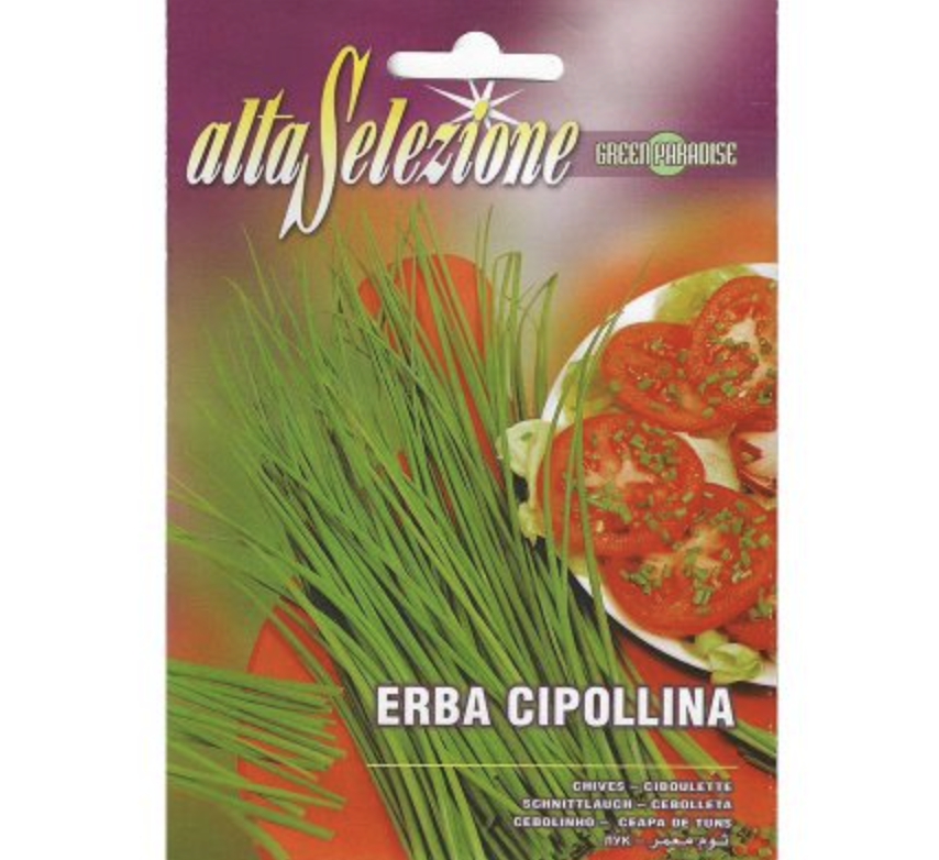 Chives "Erba Cipollina" Premium Quality Seeds by Alta Selezione