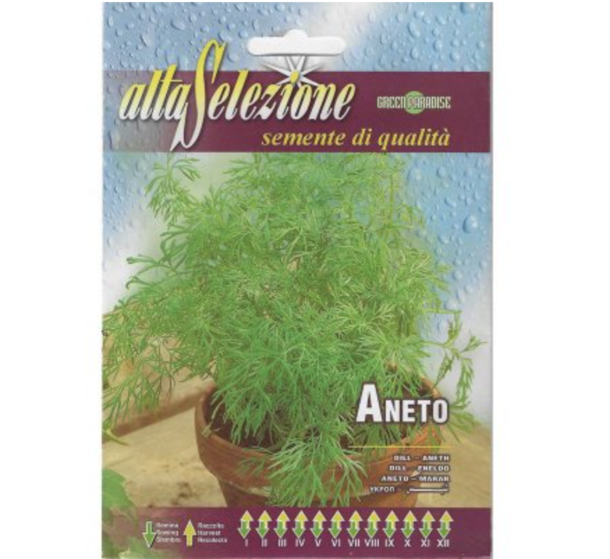 Aneto "Dill" Premium Quality Seeds by Alta Selezione