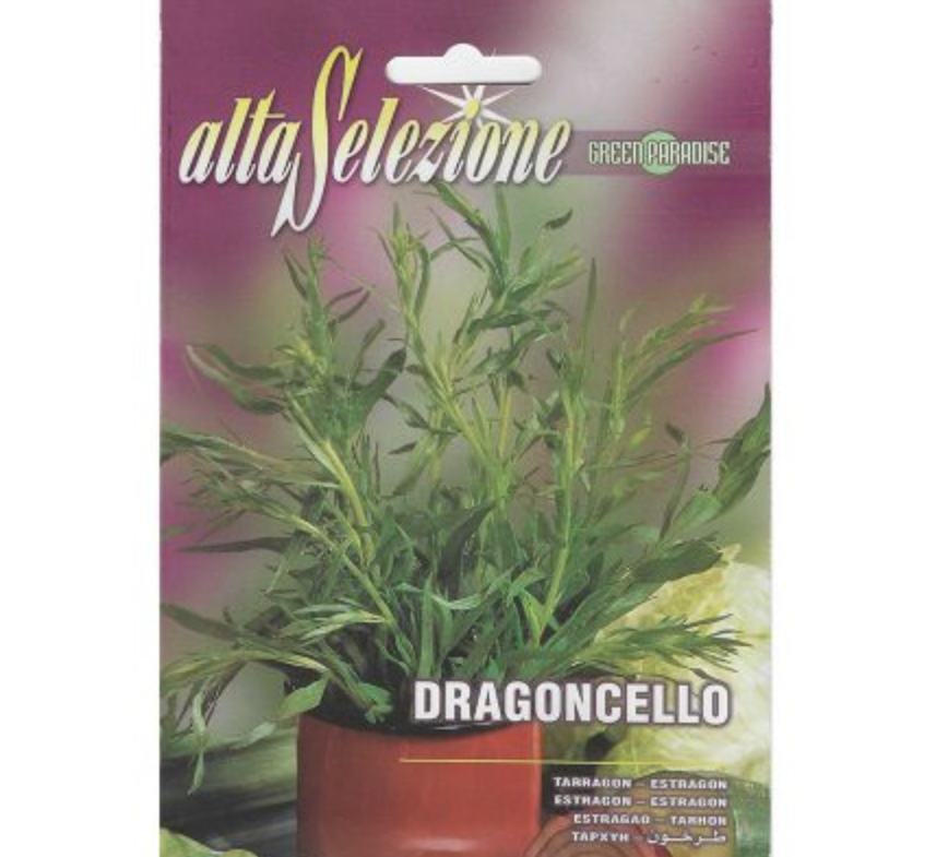 Tarragon "Dragoncello" Premium Quality Seeds by Alta Selezione