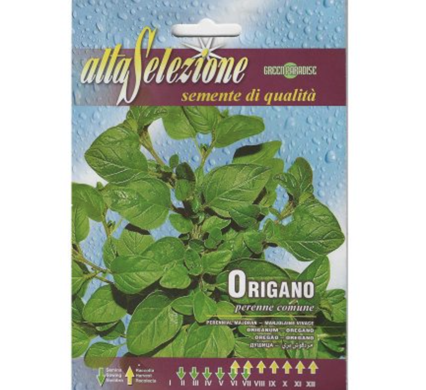 Oregano "Origano Perenne Comune" Premium Quality Seeds by Alta Selezione