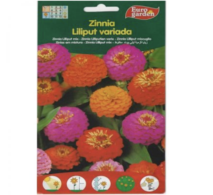 Zinnia Lilliput Mix Premium Quality Seeds by EuroGarden