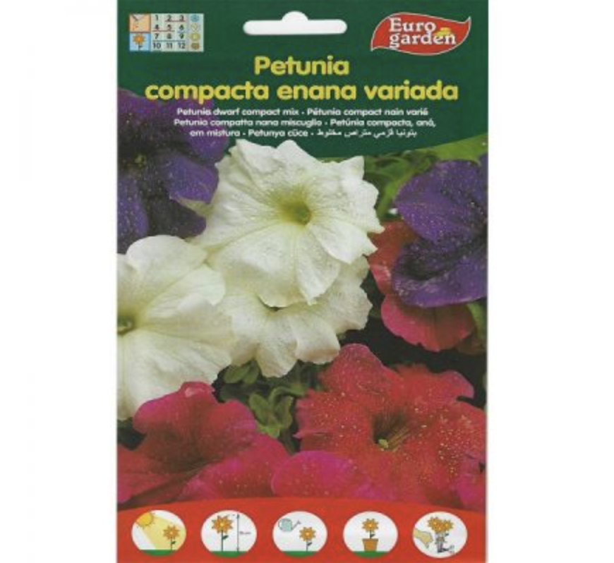 Petunia Dwarf Compact Mix Premium Quality Seeds by EuroGarden