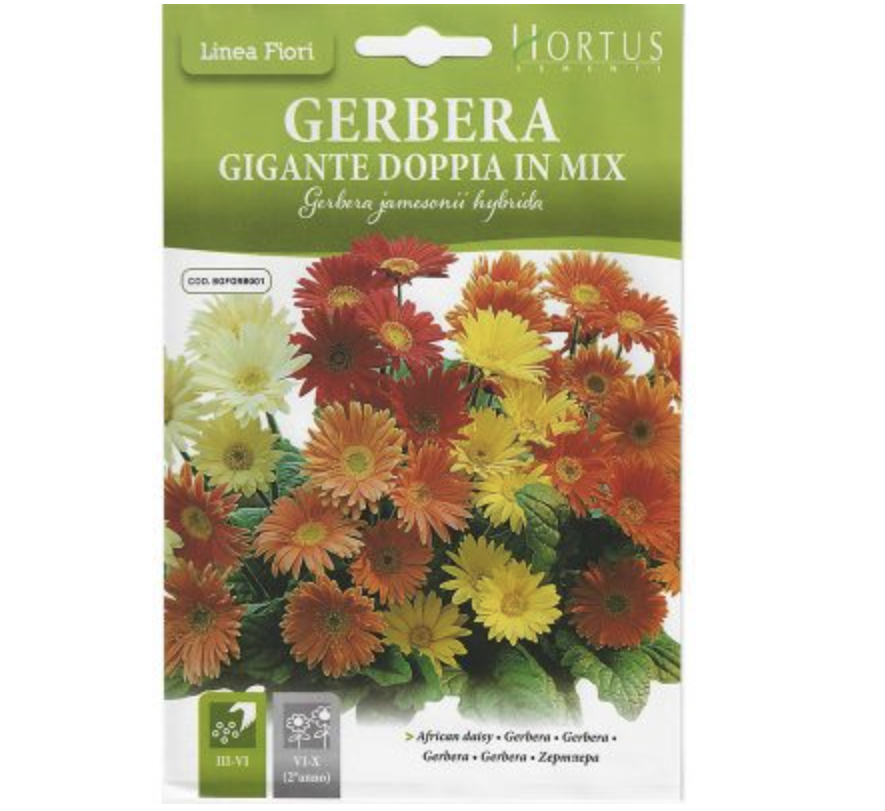 African Daisy "Gerbera Gigante Doppia In Mix" Premium Quality Seeds by Hortus Sementi