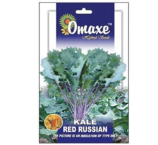 Kale Red Russian Hybrid Seeds by Omaxe