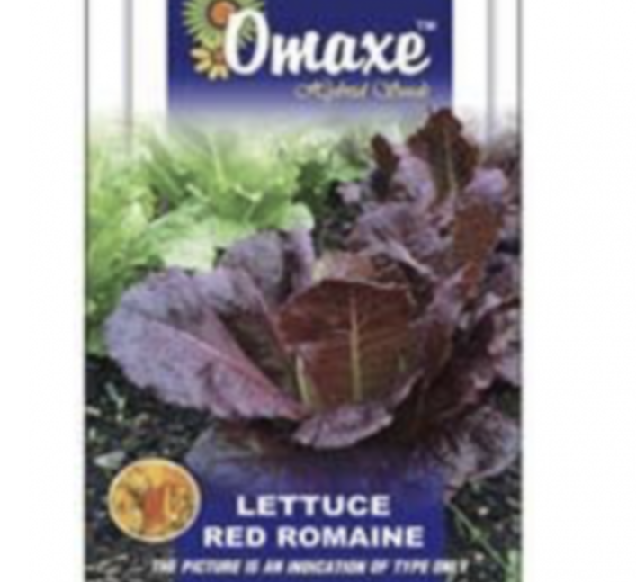 Lettuce Red Romaine Hybrid Seeds by Omaxe