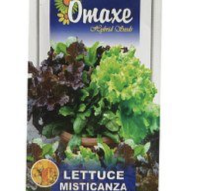 Lettuce Misticanza Hybrid Seeds by Omaxe