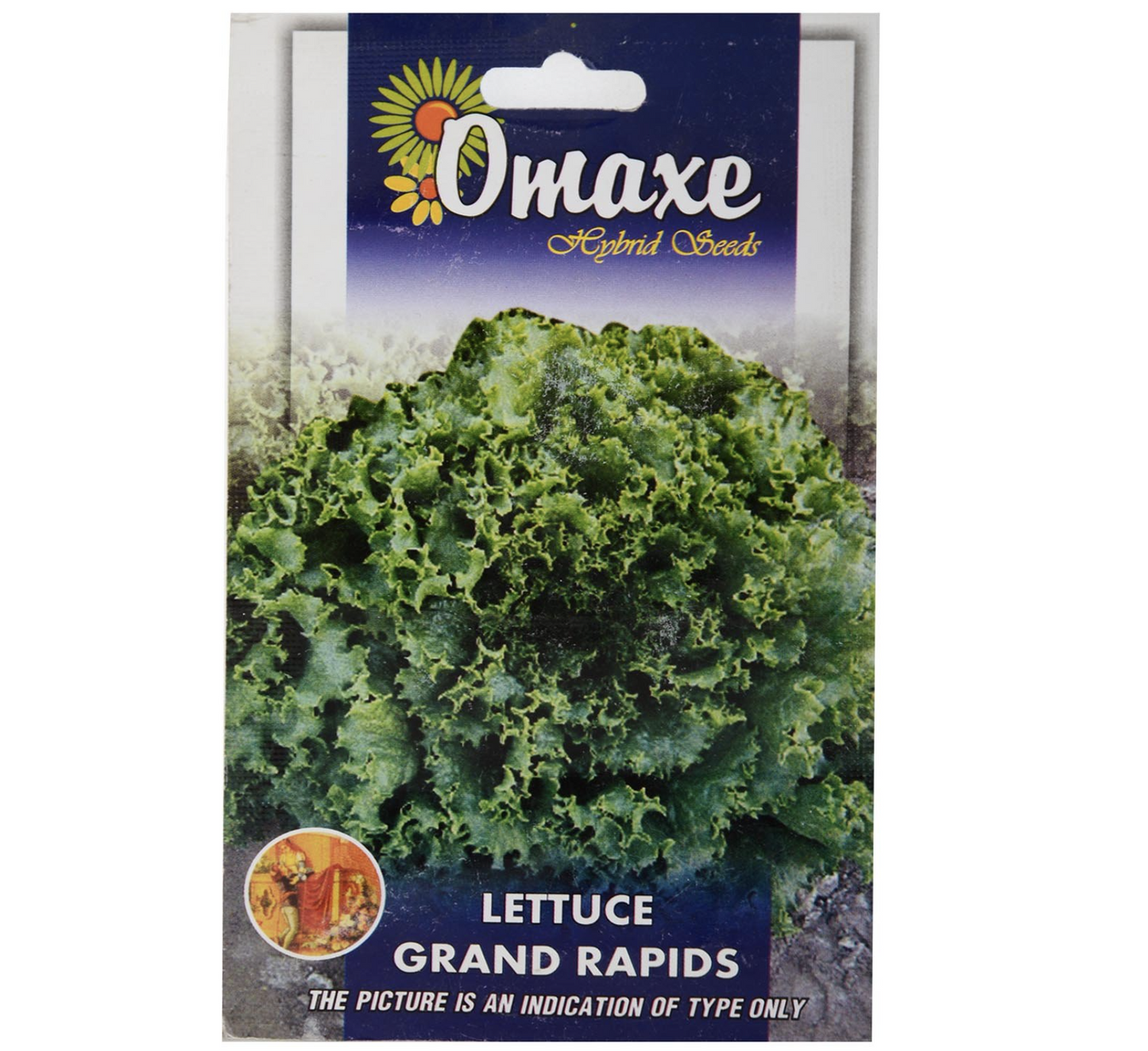 Lettuce Grand Rapids Hybrid Seeds by Omaxe