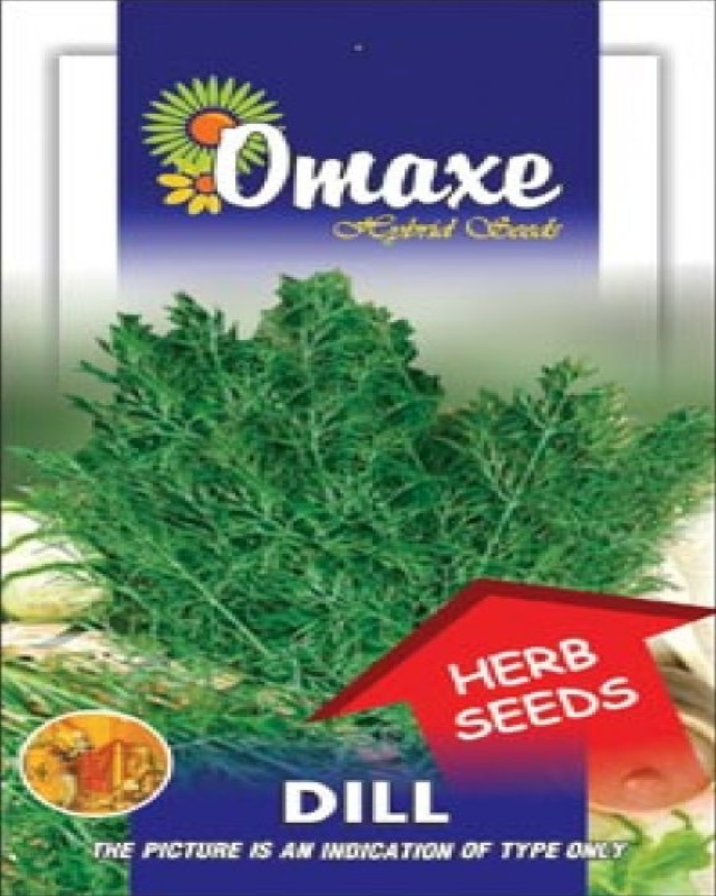 Dill Bio Organic Hybrid Seeds by Omaxe