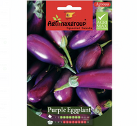 Purple Eggplant Agrimax Seeds
