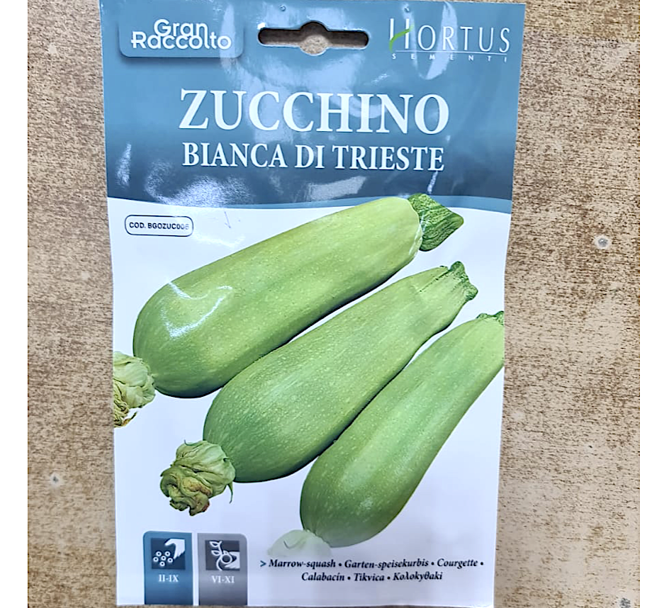 Squash Vegetable Seeds "Zucchino Bianca Di Trieste" by Hortus