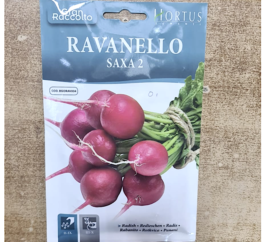 Red Radish vegetable Seeds "Ravanello Saxa 2" by Hortus