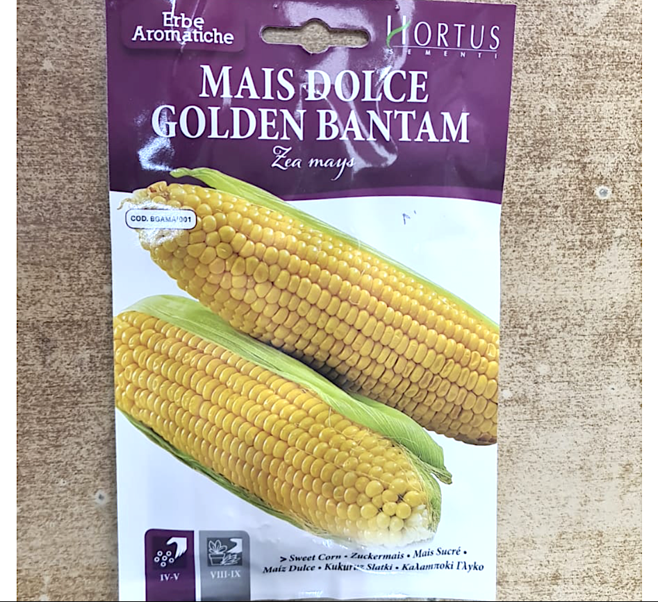 Sweet Corn Seeds "Mais Dolce Golden Bantam" by Hortus