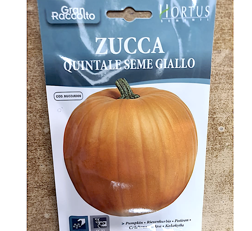 Pumpkin Vegetable Seeds "Zucca Quintale Seme Giallo" Seeds by Hortus