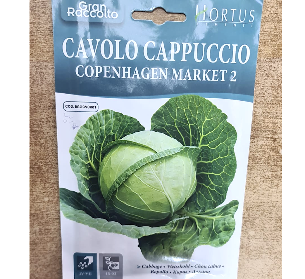 Cabbage Vegetable Seeds "Cavolo Cappuccio Copenhagen Market 2" by Hortus