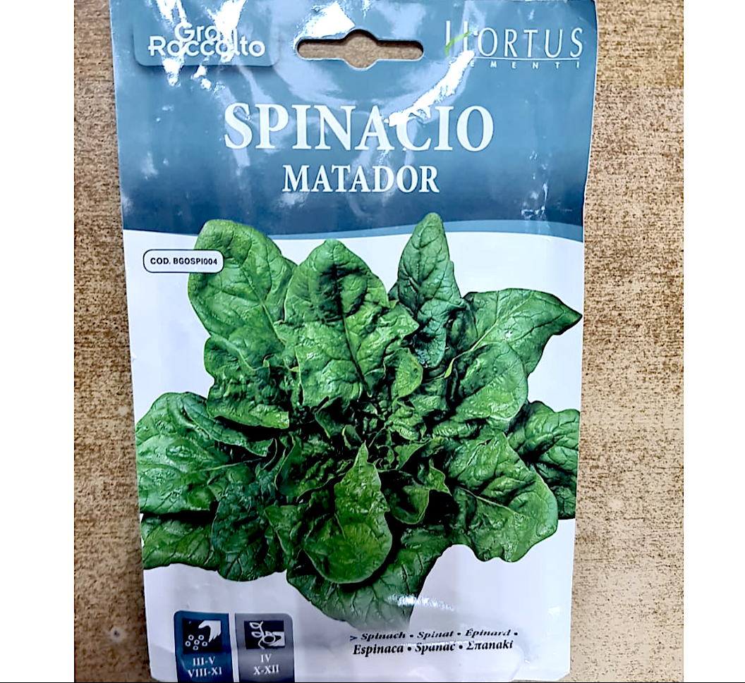 Spinach Vegetable Seeds "Spinacio Matador" by Hortus