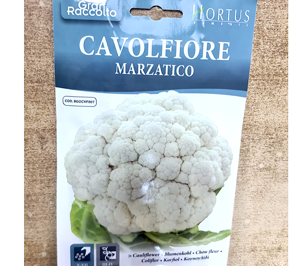 Cauliflower Vegetable Seeds "Cavolfiore Marzatico" by Hortus