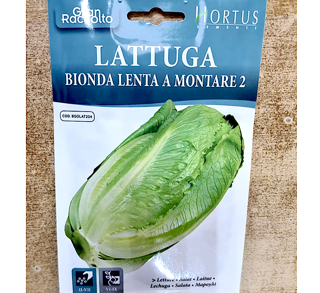 Lettuce Vegetable Herb Seeds "Bionda Lenta A Montare 2" by Hortus