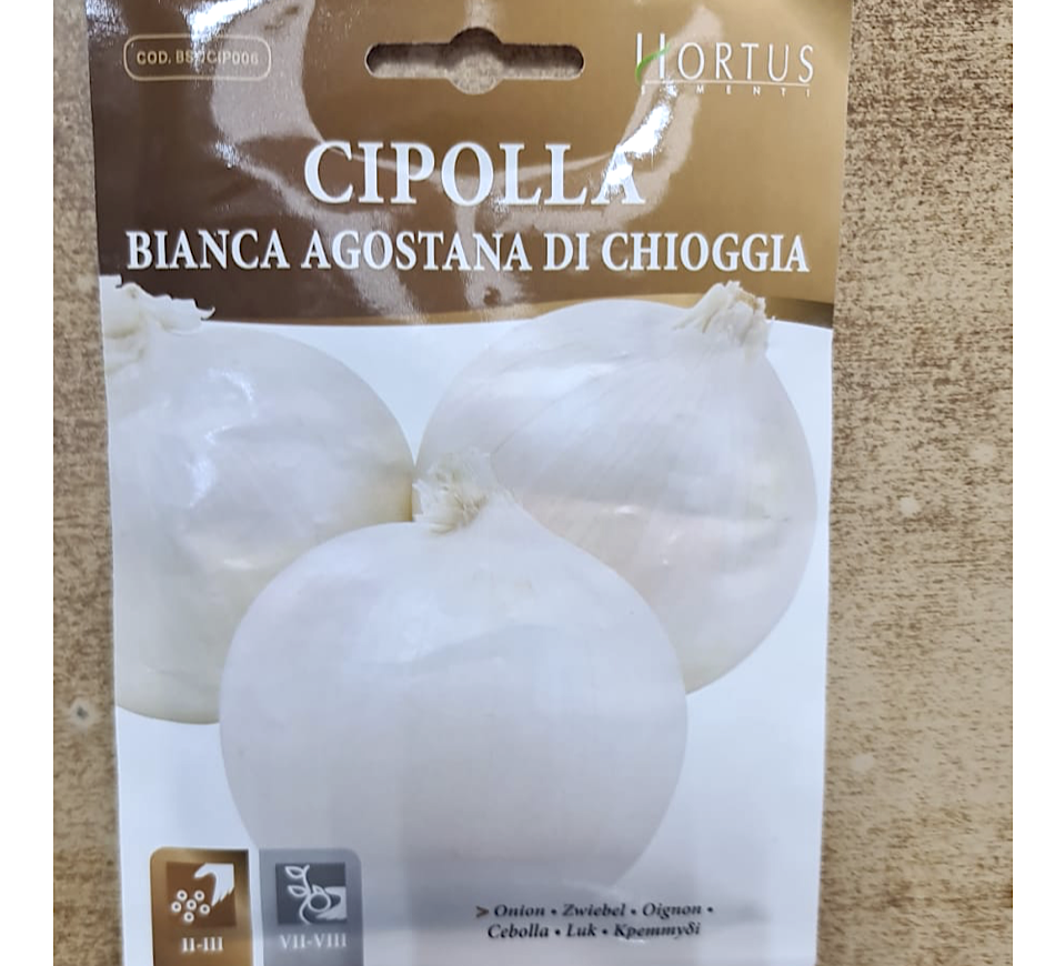Cipolla Onion Vegetable Seeds "Bianca Agostana Di Chioggia" by Hortus