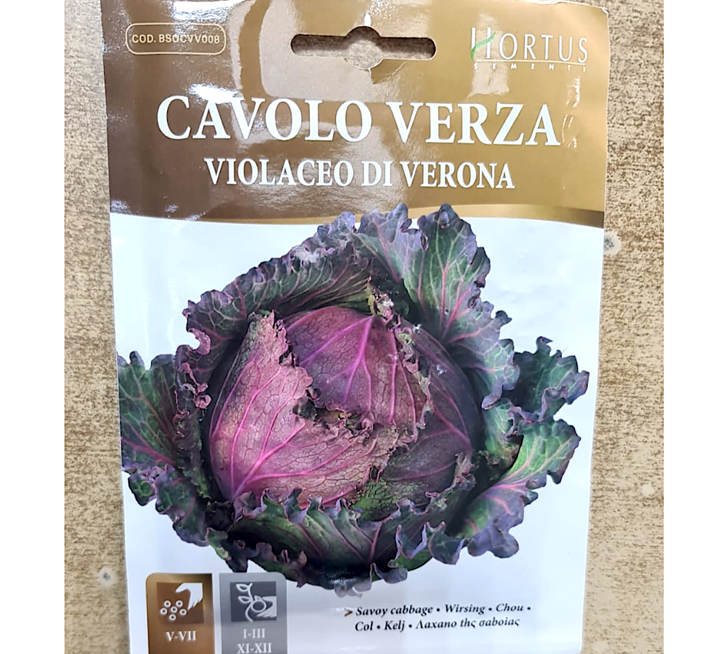 Cabbage Vegetable Seeds "Cavolo Verza" by Hortus