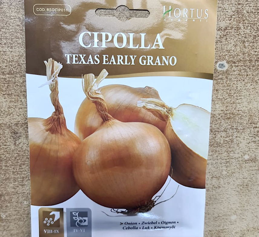 Onion Texas Vegetable Early Grano Seeds "Cipolla" by Hortus