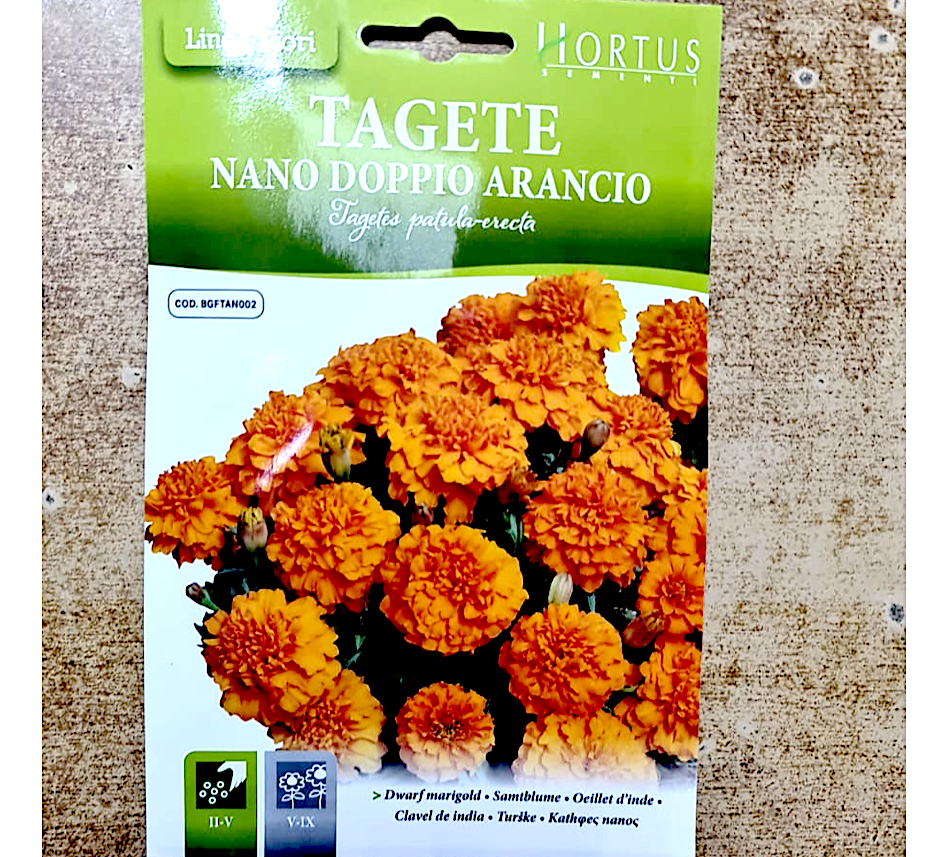 Dwarf Marigold Flower Seeds "Tagete Nana Partula Mix" by Hortus
