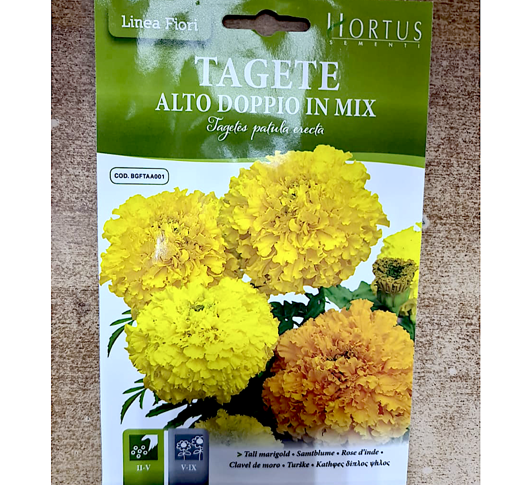 Marigold Flower seeds "Tagete Alto Doppio" by Hortus