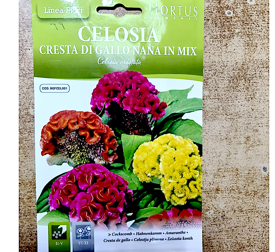 Celosia Flower Seeds "Cresta Di Gallo Nana Mix" by Hortus