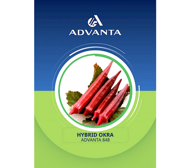 Advanta 848 Hybrid Okra Seeds 10g