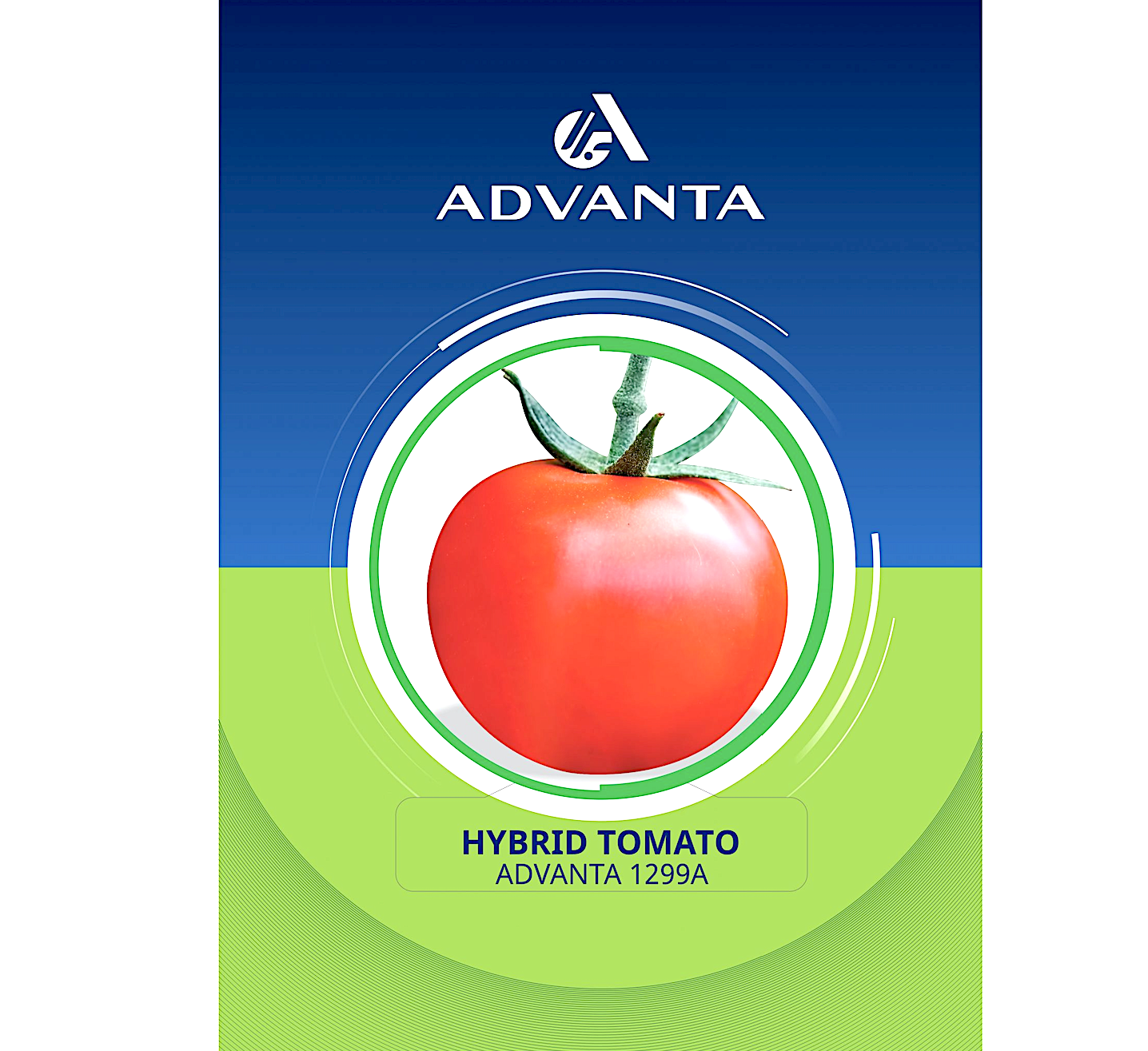 Advanta 1299A Hybrid Tomato Seeds 2g