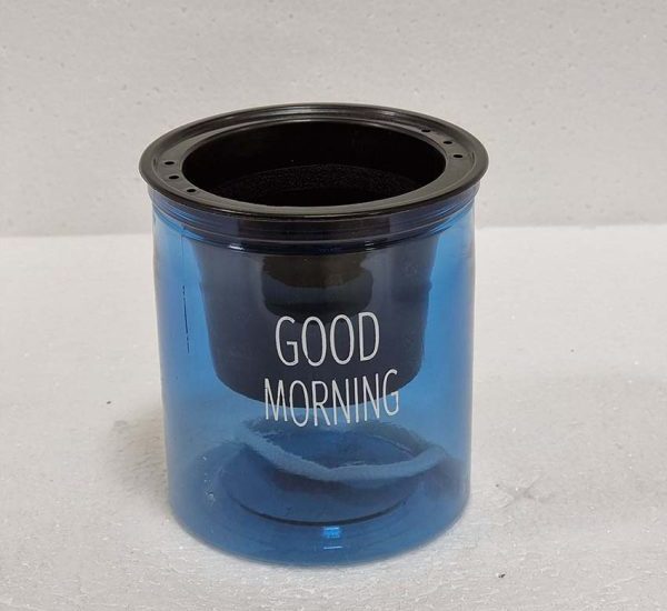 Self Watering Indoor Transparent Pot