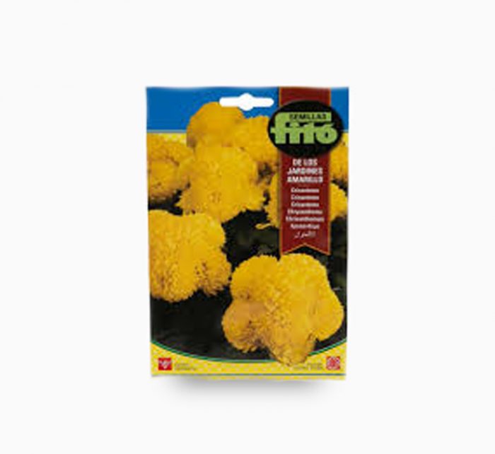 Amarillo Chrisanthemum Seeds (Yellow, 2 g)