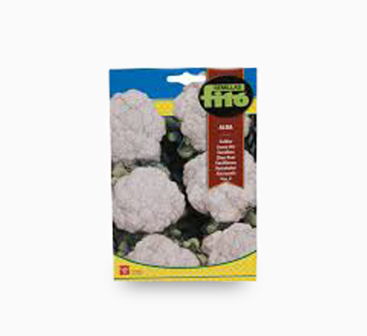 Fito Coliflor Alba (Cauliflower) - Fito Seeds