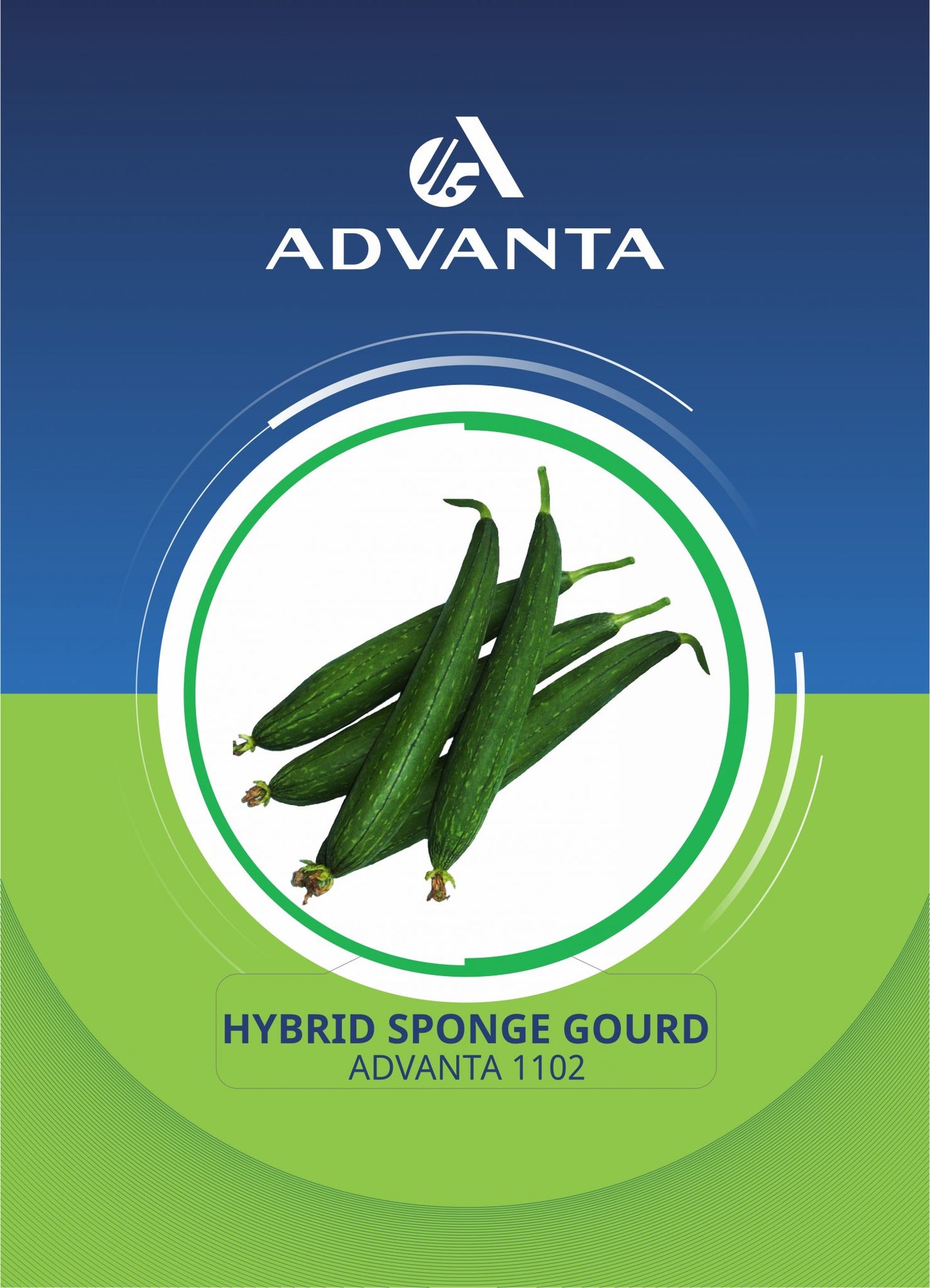 Advanta 1102 Hybrid Sponge Gourd Seeds 5g