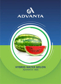 Advanta 1405 Hybrid Watermelon Seeds 5g