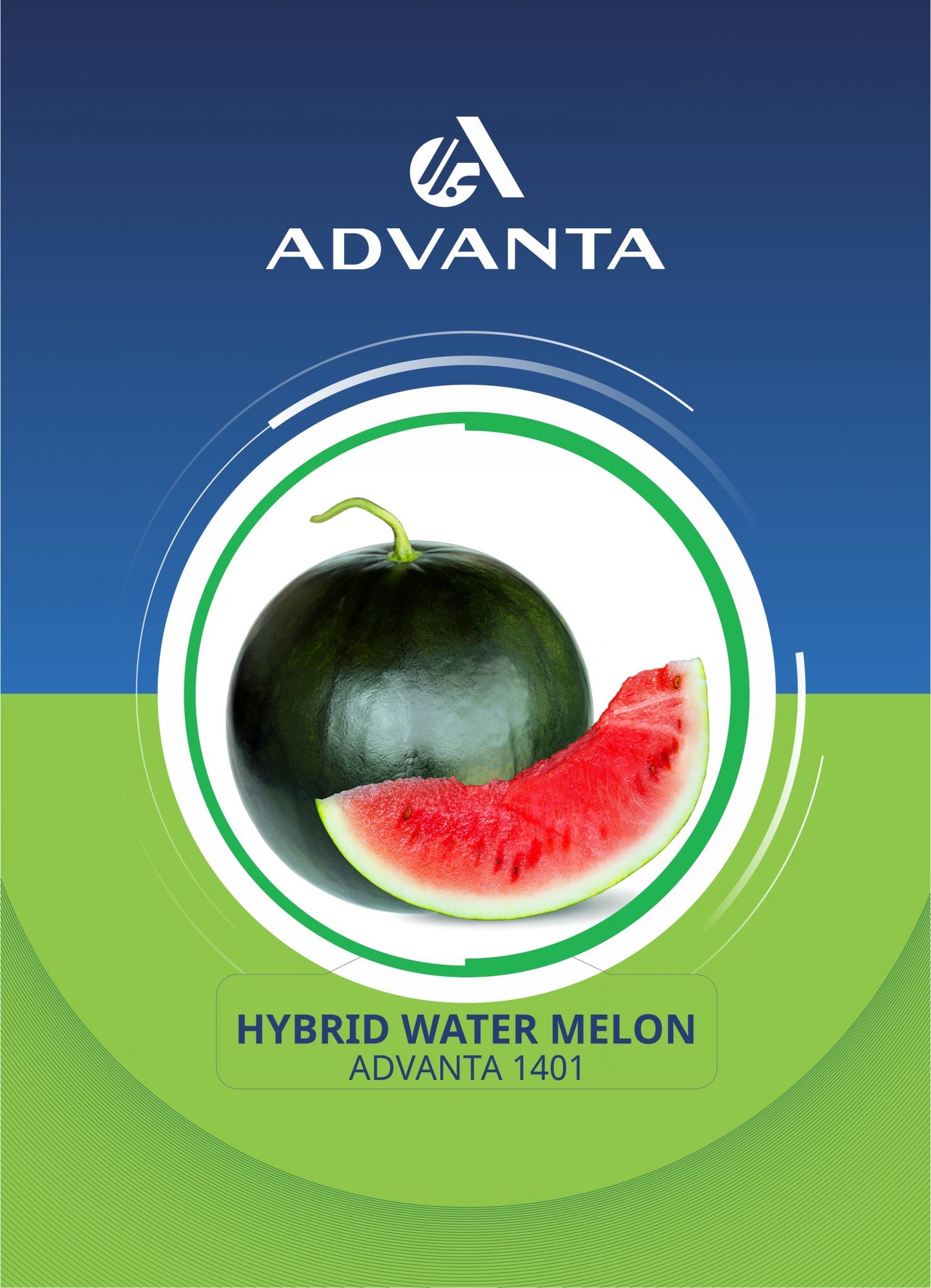 Advanta 1401 Hybrid Watermelon Seeds 5g