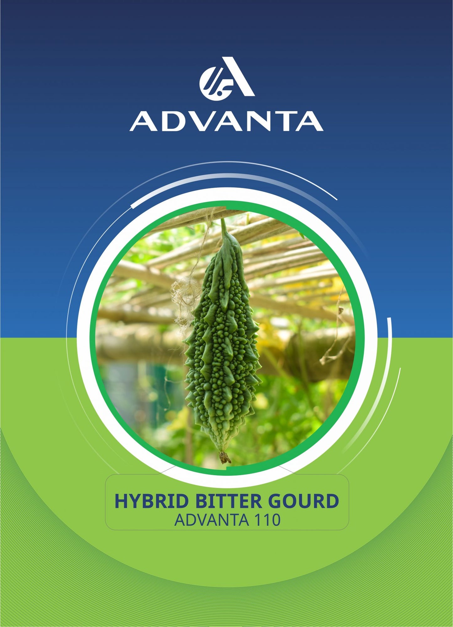 Advanta 110 Hybrid Bitter Gourd Seeds 5g