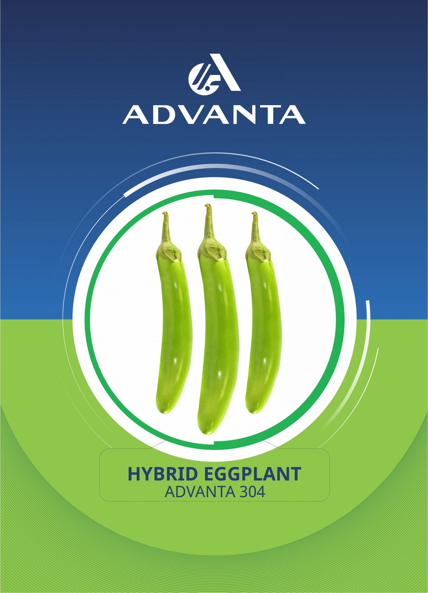 Advanta 304 Hybrid Eggplant Seeds 5g
