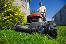 Garden maintenance